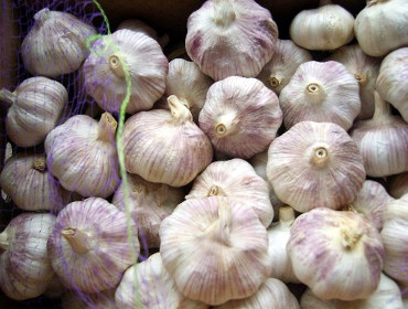 Normal White Garlic