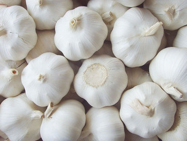 Pure White Garlic